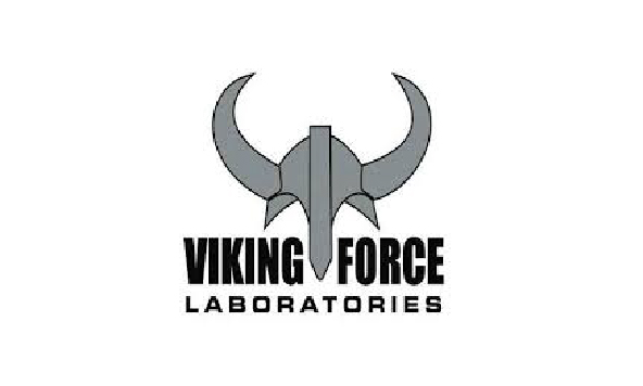 وایکینگ فورس | viking force (6)